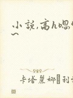 小说,高h嗯啊~封面