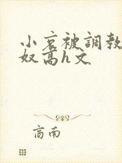 小哀被调教成肉奴高h文