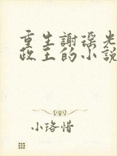 重生谢瑶光和摄政王的小说35