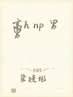 高h np 男男