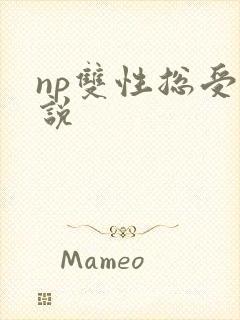 np双性总受小说