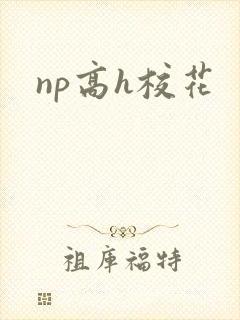np高h校花