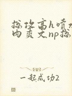 总攻高h喷水荡肉爽文np总攻