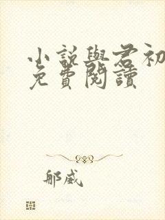 小说与君初相识免费阅读