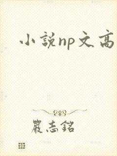 小说np文高h