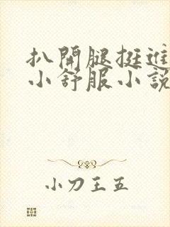 扒开腿挺进肉嫩小舒服小说