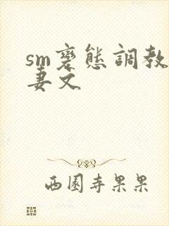 sm变态调教人妻文封面