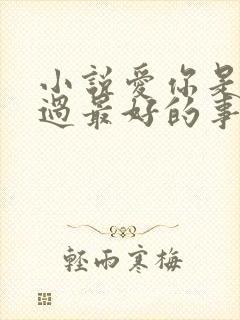 小说爱你是我做过最好的事免费阅读