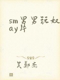 sm男男玩奴gay片