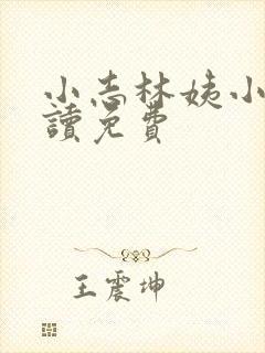 小志林姨小说阅读免费