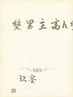 双男主高h双封面