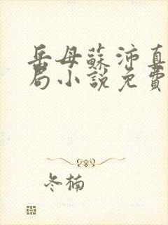 岳母苏沛真大结局小说免费阅读全文