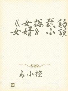 《女总裁的上门女婿》小说