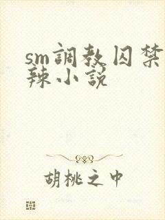 sm调教囚禁高辣小说