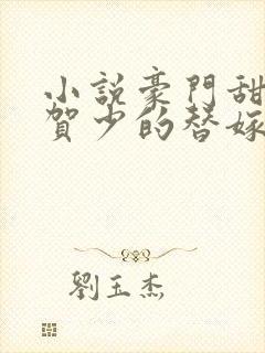 小说豪门甜宠:贺少的替嫁新娘封面