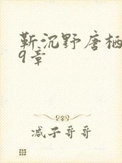 靳沉野唐栖雾第9章封面