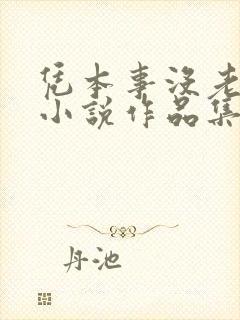 凭本事没老婆的小说作品集