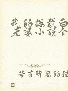 我的总裁白富美老婆小说全本阅读全文封面