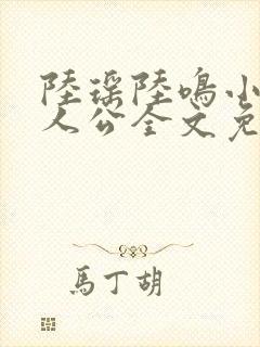 陆瑶陆鸣小说主人公全文免费阅读笔趣阁