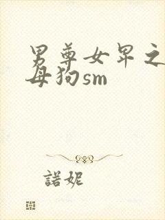 男尊女卑之林氏母狗sm封面