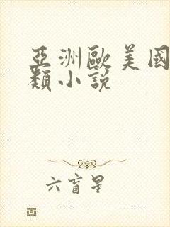 亚洲欧美国产另类小说