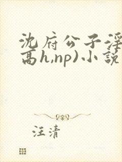 沈府公子淫史(高h,np)小说