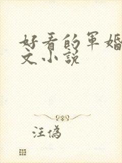 好看的军婚甜宠文小说