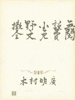 撒野小说无删减全文免费阅读封面