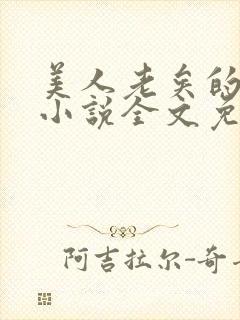 美人老矣的原著小说全文免费阅读