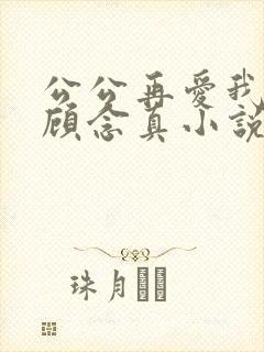 公公再爱我一次顾念真小说免费阅读全文