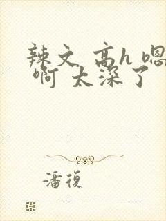 辣文 高h 嗯 啊 太深了