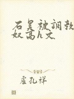 石昊被调教成肉奴高h文封面