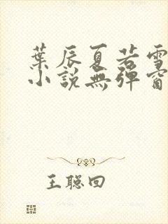 叶辰夏若雪孙怡小说无弹窗封面