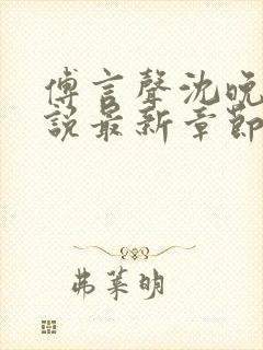 傅言声沈晚柔小说最新章节免费阅读