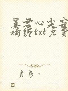 暴君心尖宠昼夜娇缠txt免费阅读