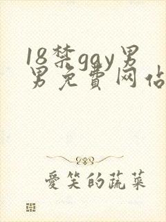 18禁gay男男免费网站