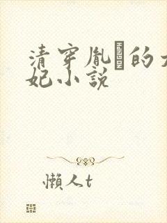 清穿胤礽的太子妃小说