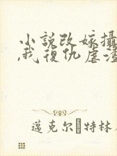 小说改嫁摄政王,我复仇虐渣妹沣骆宁在线