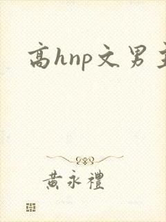 高hnp文男主封面