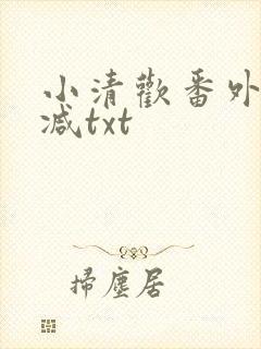 小清欢番外未删减txt