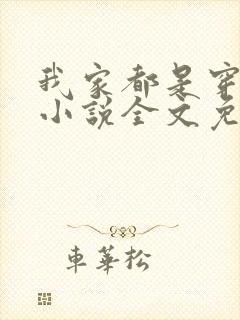 我家都是穿来的小说全文免费阅读封面