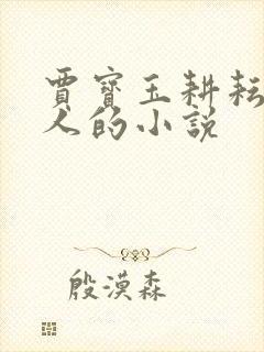 贾宝玉耕耘王夫人的小说