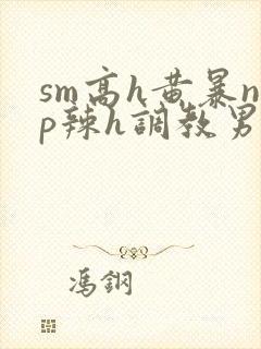 sm高h黄暴np辣h调教男奴