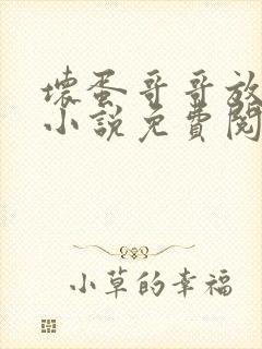 坏蛋哥哥放了我小说免费阅读