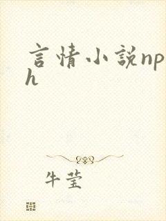 言情小说np高h封面