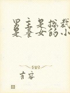 男主是总裁女主是养女的小说