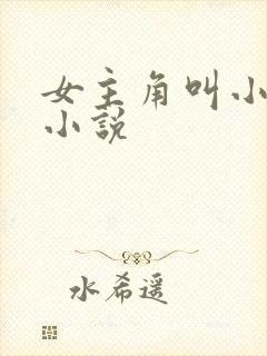 女主角叫小可的小说