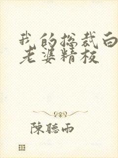 我的总裁白富美老婆精校