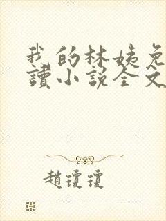 我的林姨免费阅读小说全文