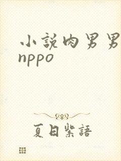 小说肉男男双性nppo